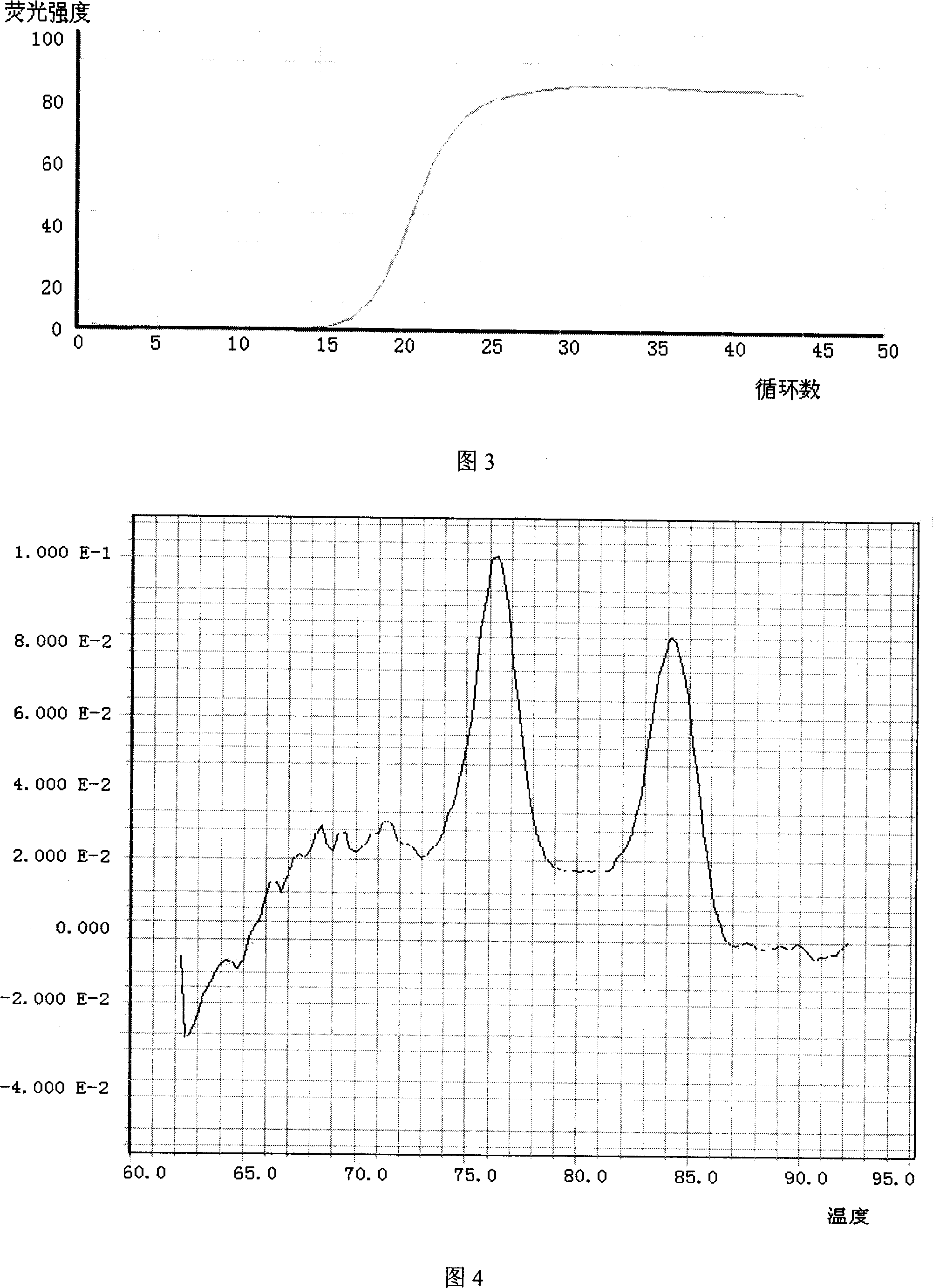 Method for detecting food-derived pathogenic vibrio bacteria by composite fluorescence PCR technique