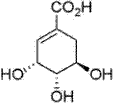 Shikimic acid synthesis method