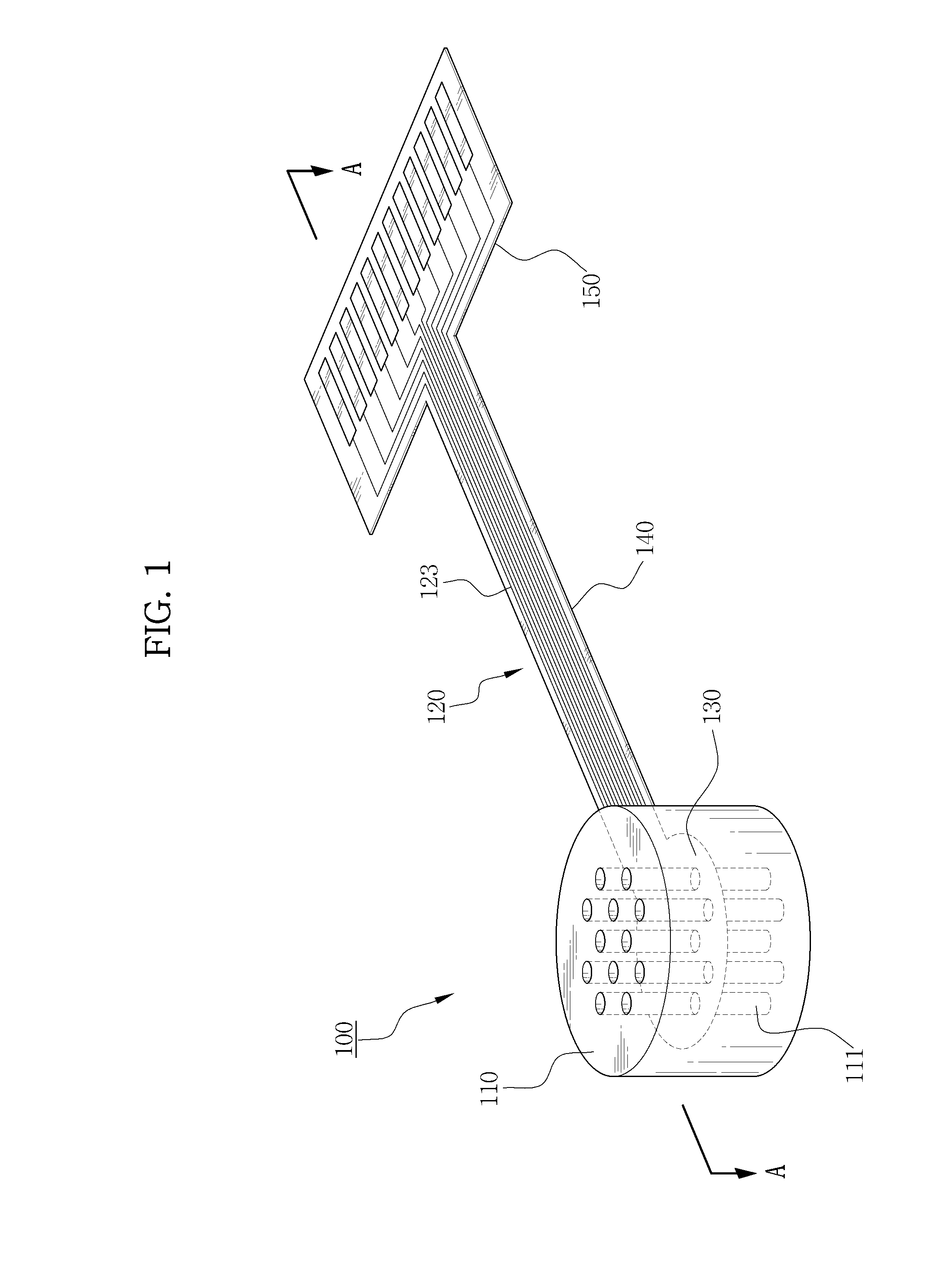 Neural tube for recovering function of injured nerve