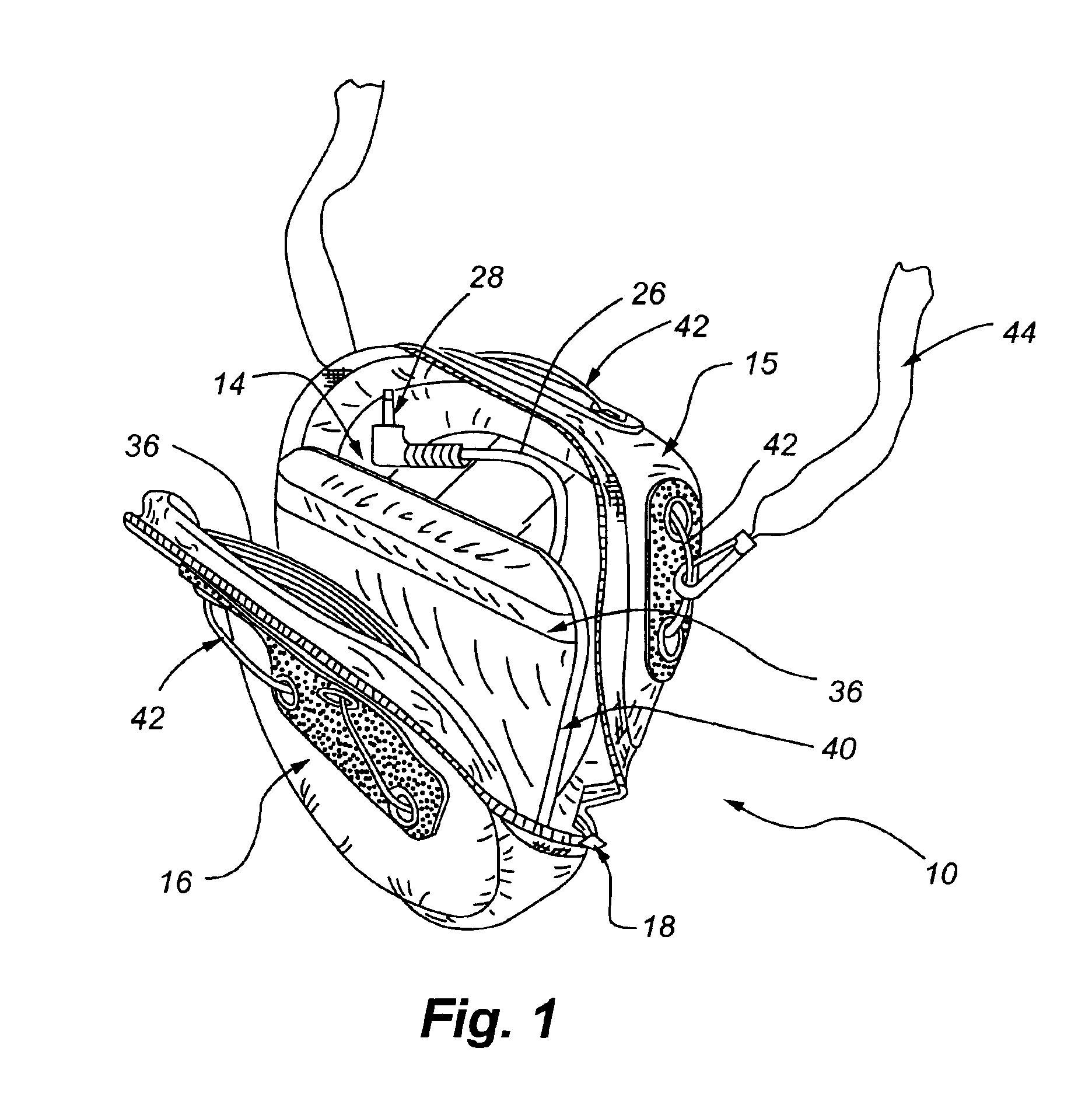 Protective enclosure with a line-out device adapted for use with electronic componentry