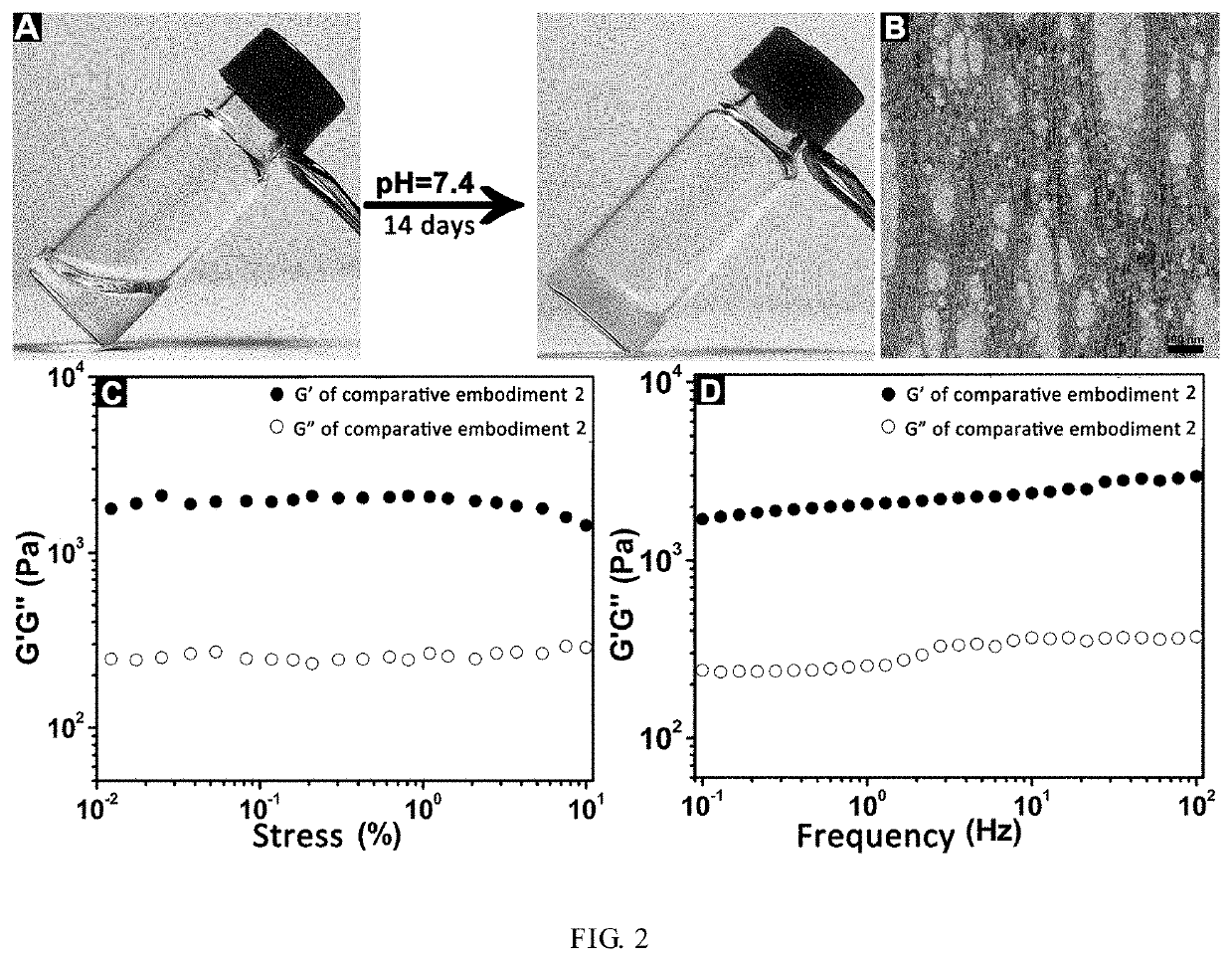 Method for rapid gelation of silk fibroin solution under physiological conditions
