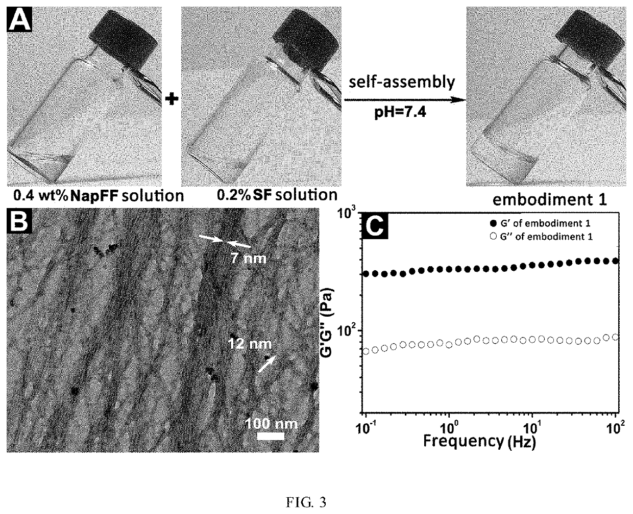 Method for rapid gelation of silk fibroin solution under physiological conditions