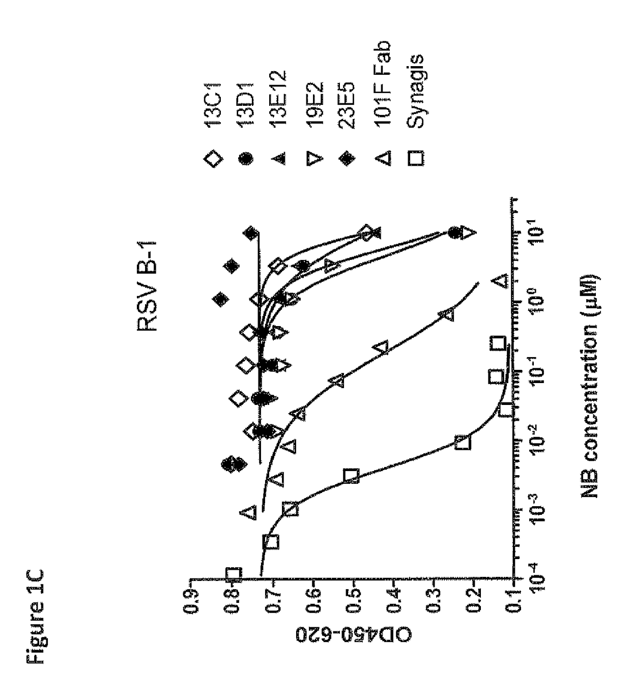 Amino acid sequences directed against human respiratory syncytial virus (HRSV) and polypeptides comprising the same for the prevention and/or treatment of respiratory tract infections