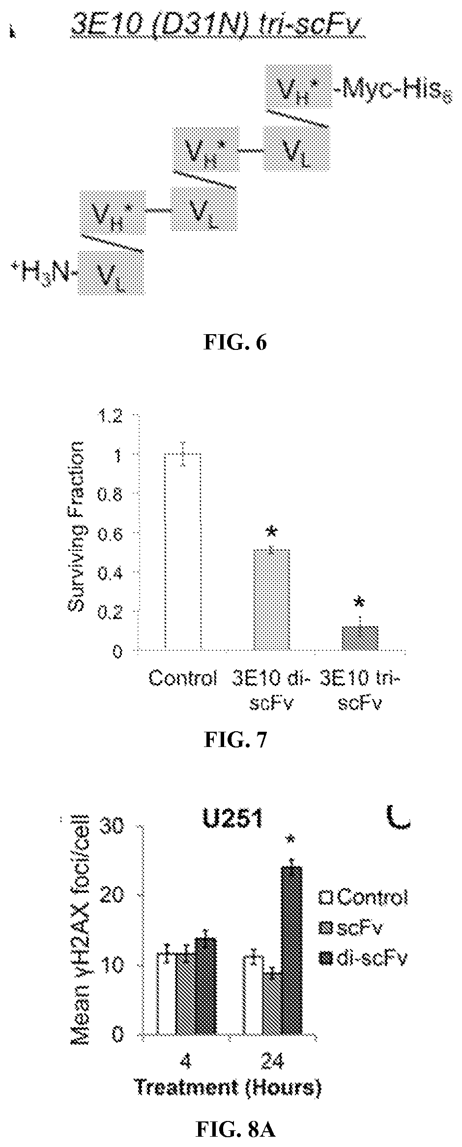 Multivalent fragments of antibody 3e10 and methods of use thereof
