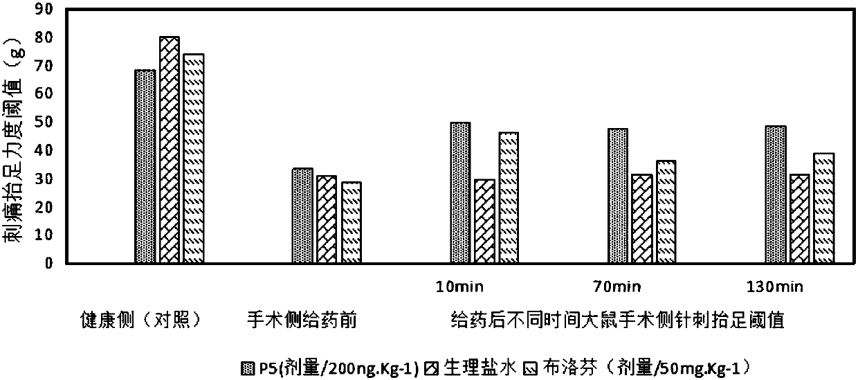 Application of nervous excitation damage related polypeptide in preventing, relieving or treating pain