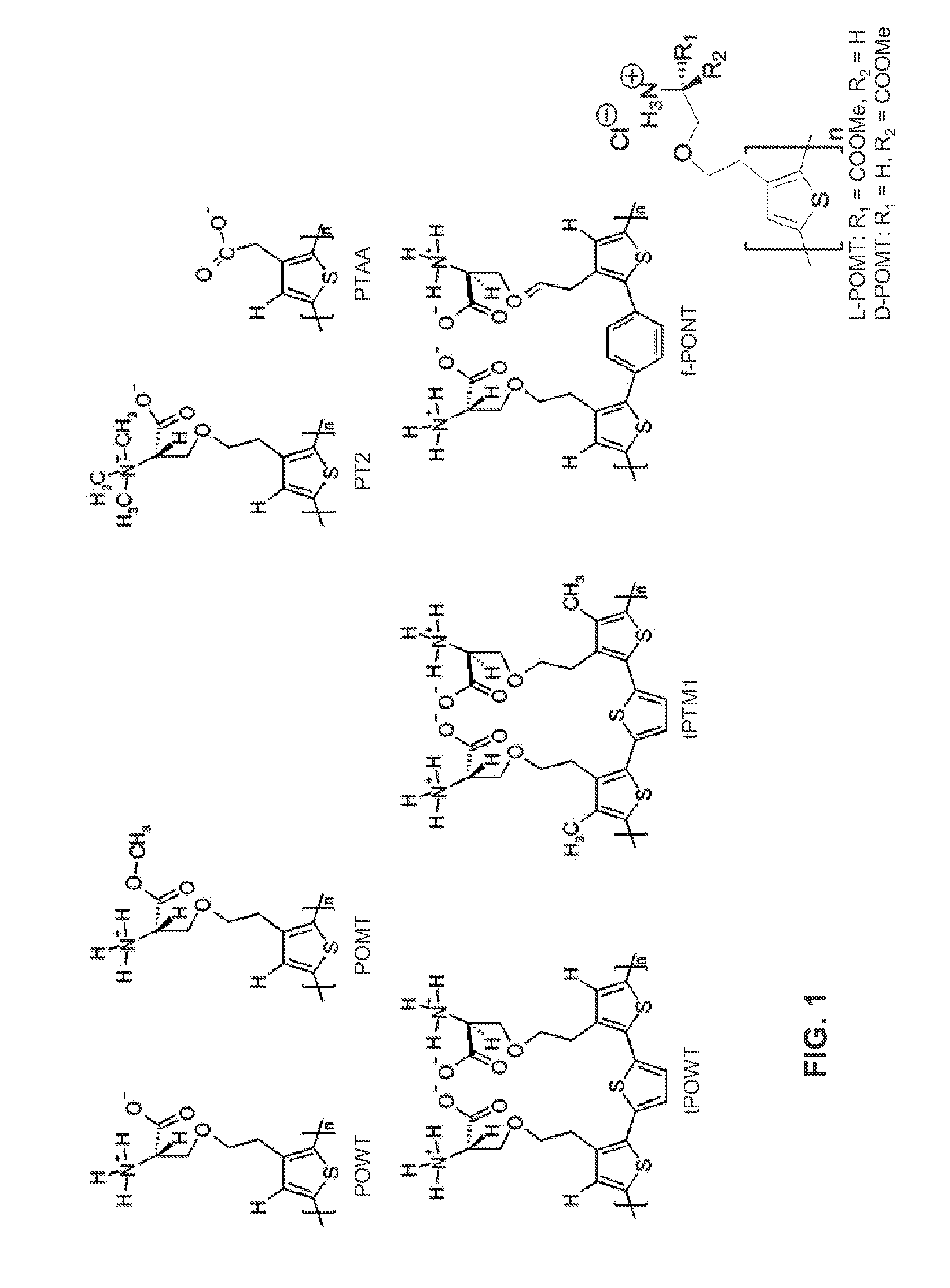 Binding of pathological forms of proteins using conjugated polyelectrolytes