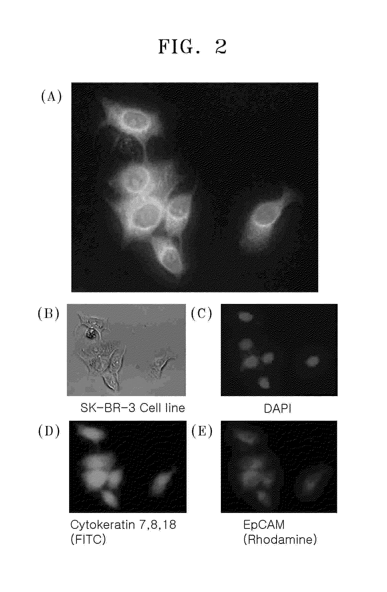 Method of sequential and multiple immunostaining for detection of various antigens in the same specimens