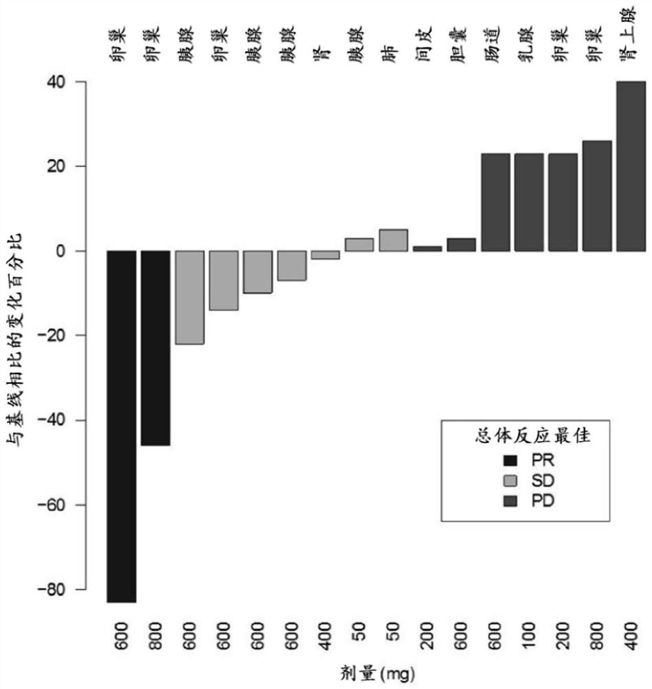 Methods for predicting drug responsiveness in cancer patients