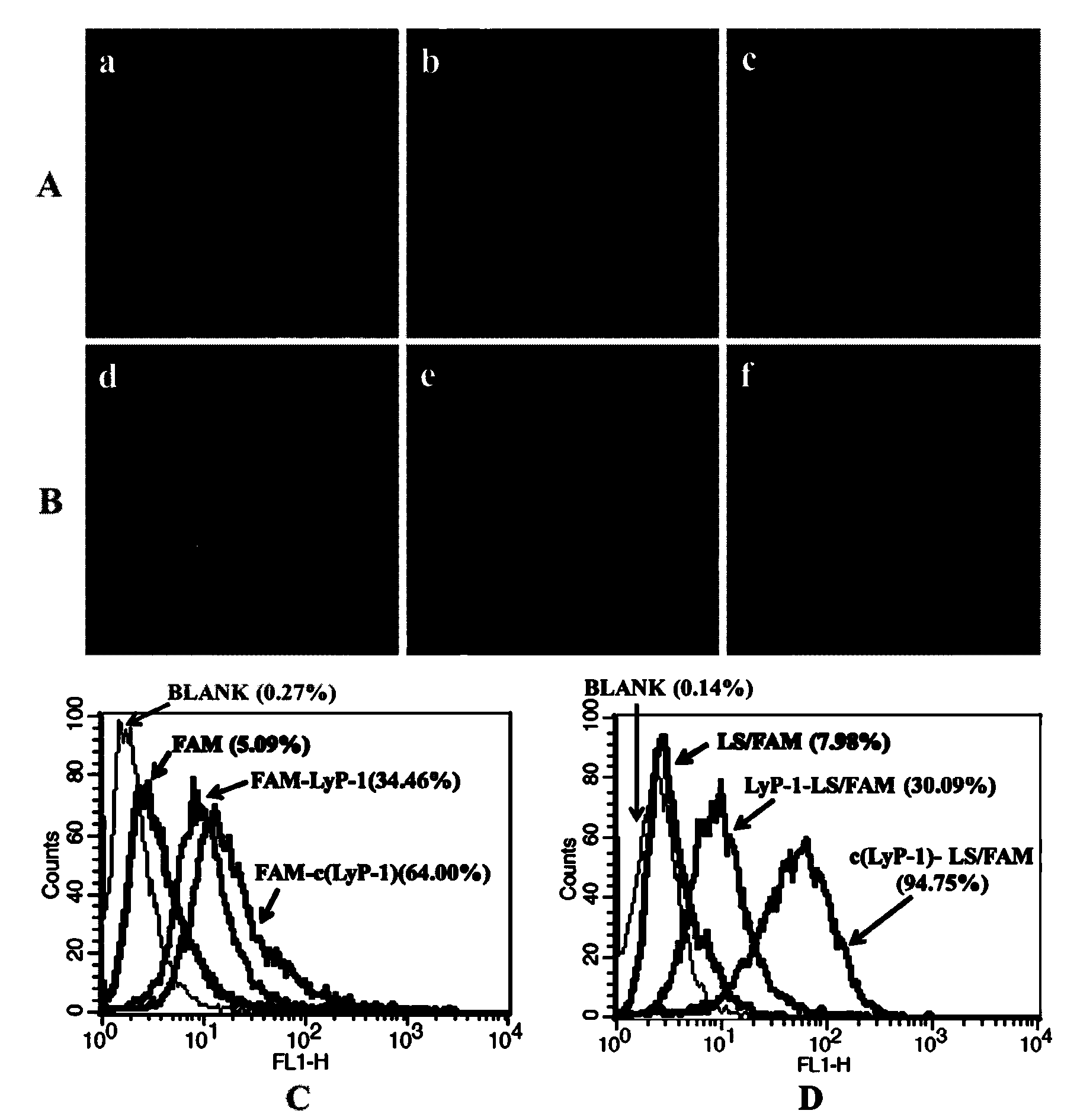 C(lyp-1) polypeptide and nano-delivery system constructed thereby and application of nano-delivery system