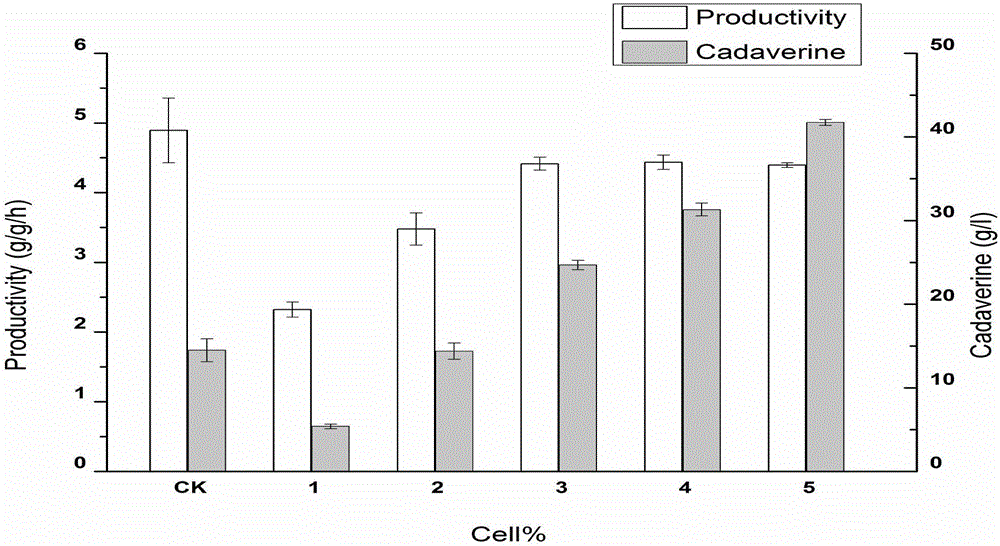 Toxic product tolerating cell immobilized method and production process of 1,5-diaminopentane by immobilized cell