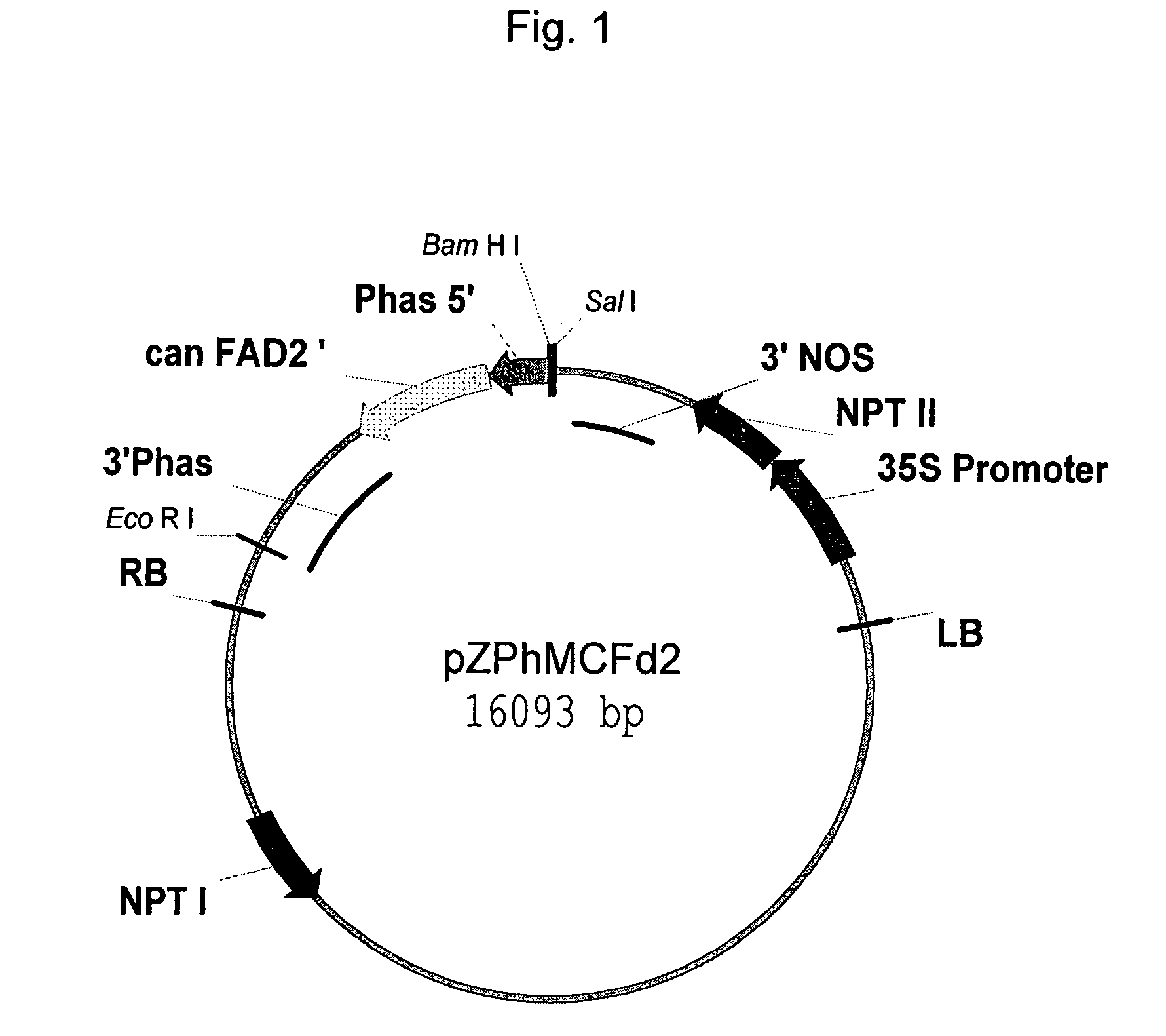 Method of enhancing quality factors in cotton