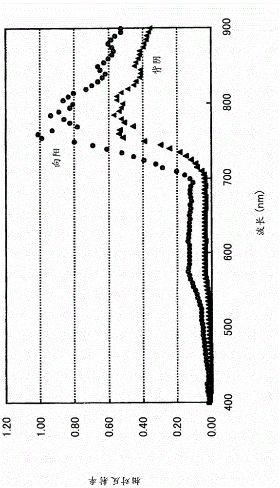 Plant species identification device and method