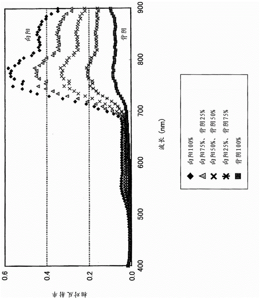 Plant species identification device and method