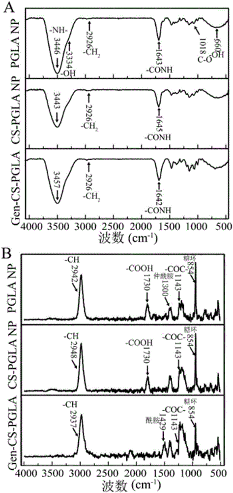 Method for preparing nano oral protein drug delivery system and application thereof