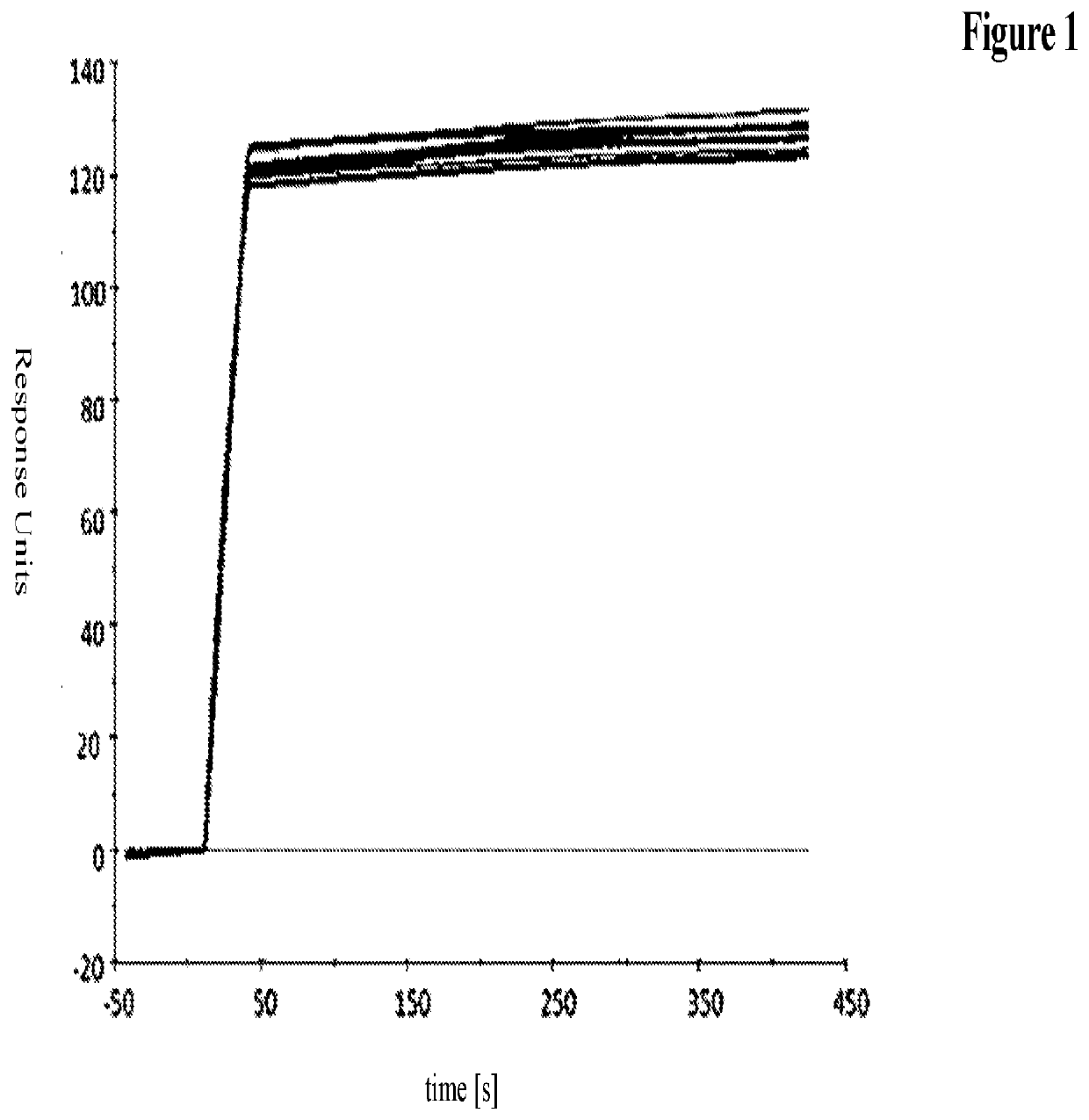 Novel antibody format