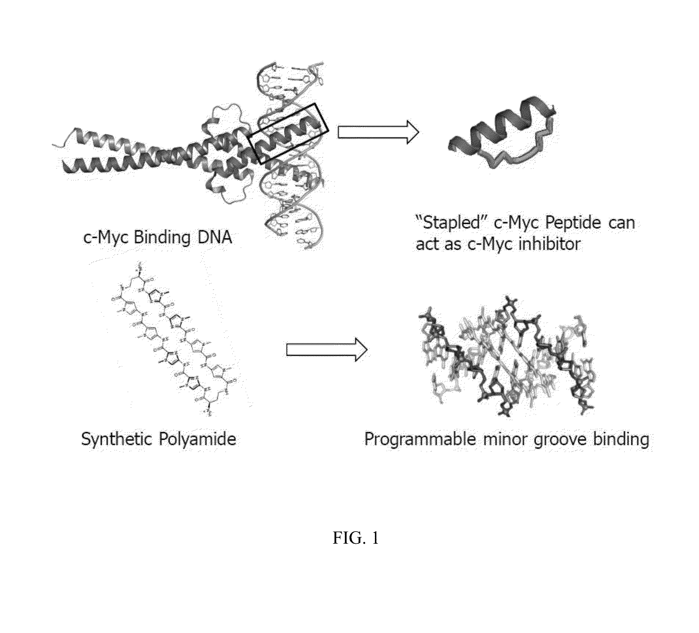 Artificial transcription factors comprising a sliding domain and uses thereof