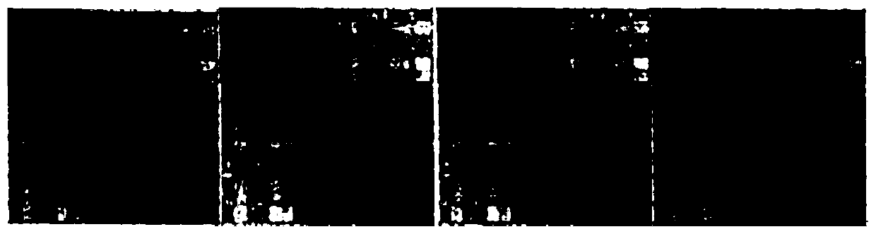 Hierarchical TADs differential analysis method in Hi-C contact matrix based on online machine learning