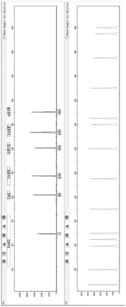 Fluorescence labeling multiplex PCR detection kit for Clostridium difficile
