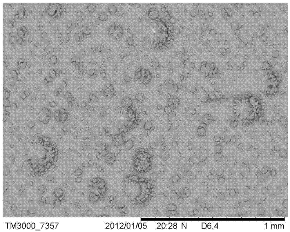 Constant current synthesis method for phosphorus aluminum molecular sieve membrane