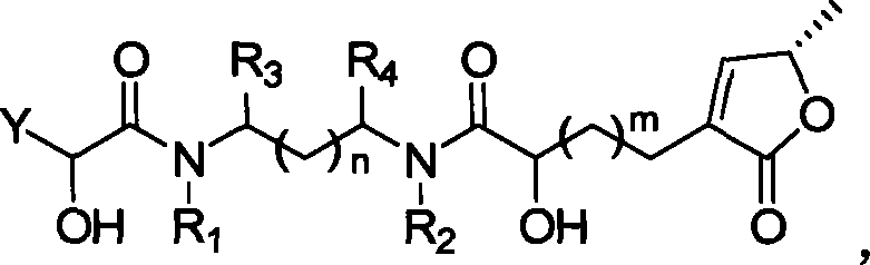 Lactone compound of sweetsop connected through amido bond, synthetic method and application