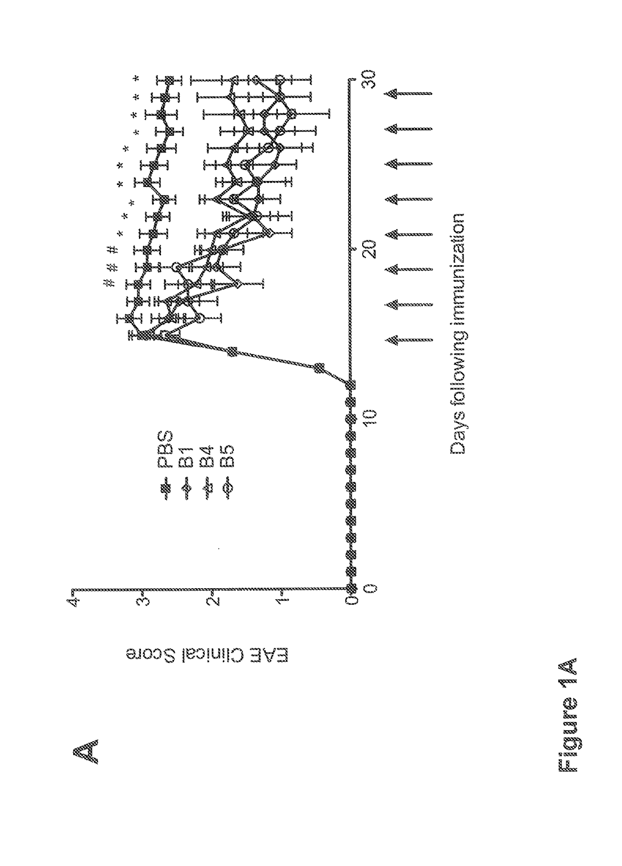 Small heat shock proteins and active fragments thereof as a therapy for inflammation and ischemia