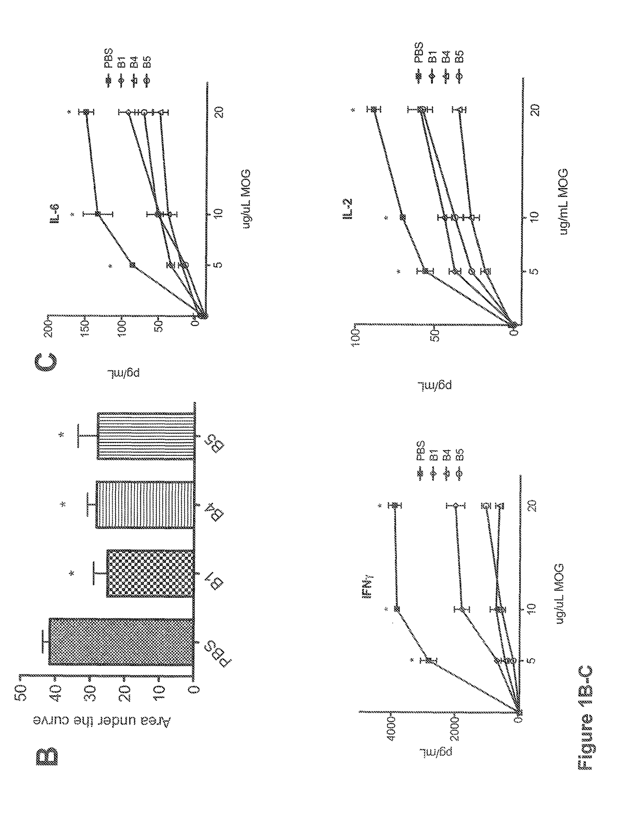 Small heat shock proteins and active fragments thereof as a therapy for inflammation and ischemia