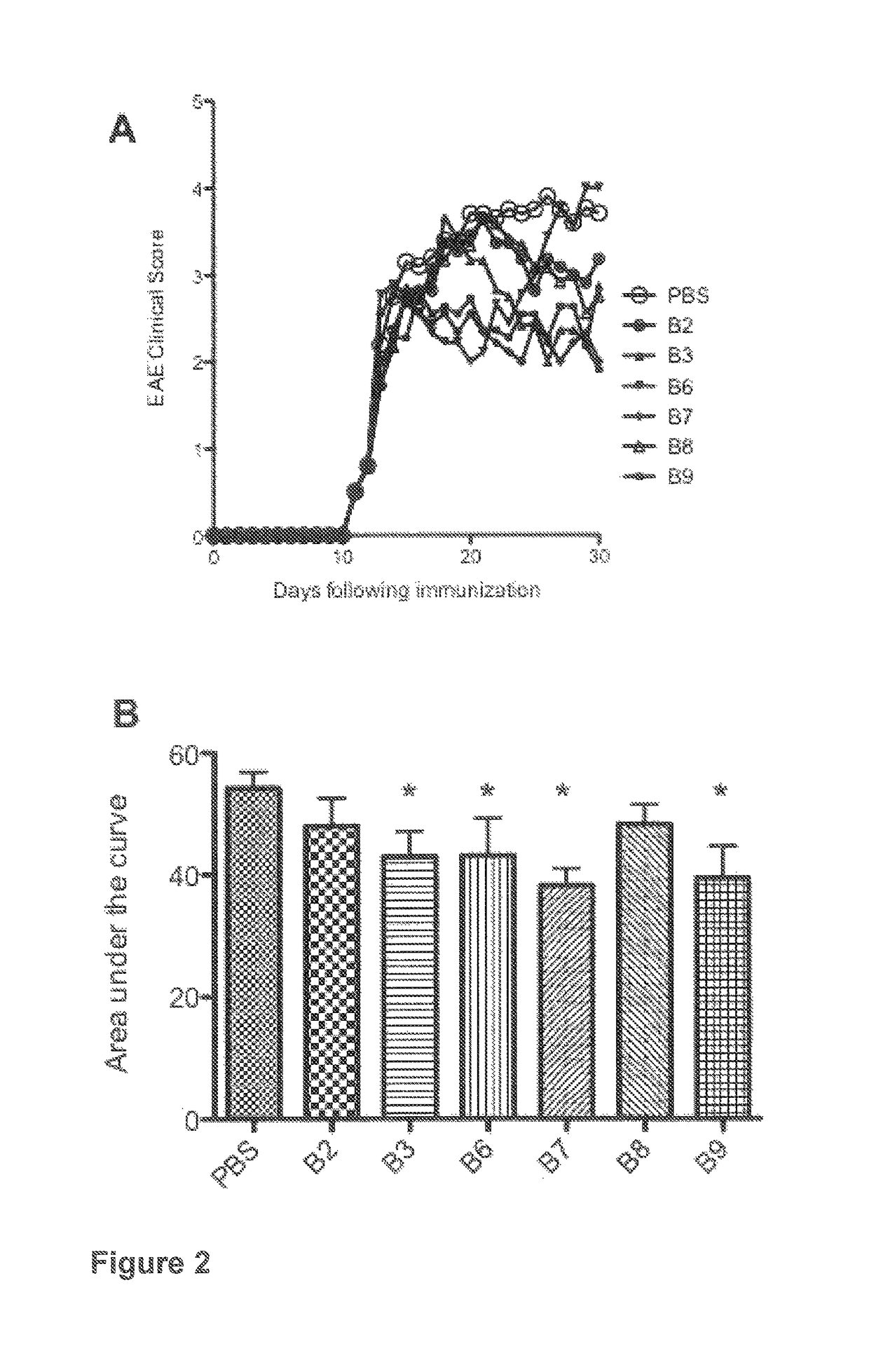 Small heat shock proteins and active fragments thereof as a therapy for inflammation and ischemia