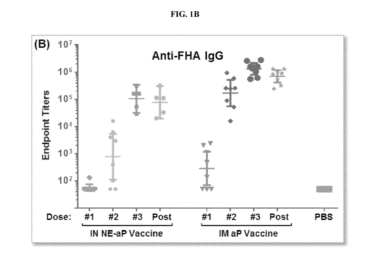 Immunogenic compositions for use in vaccination against bordetella