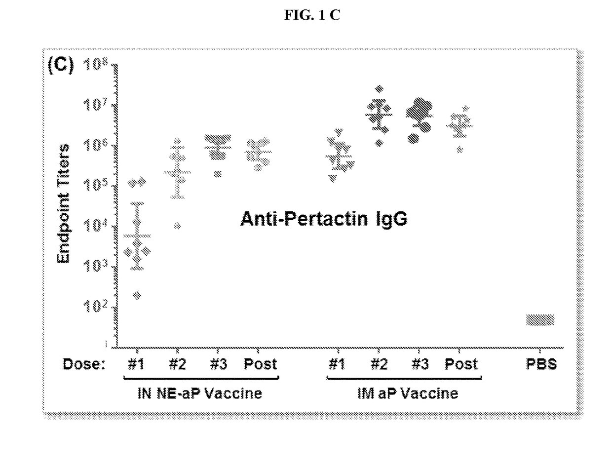 Immunogenic compositions for use in vaccination against bordetella