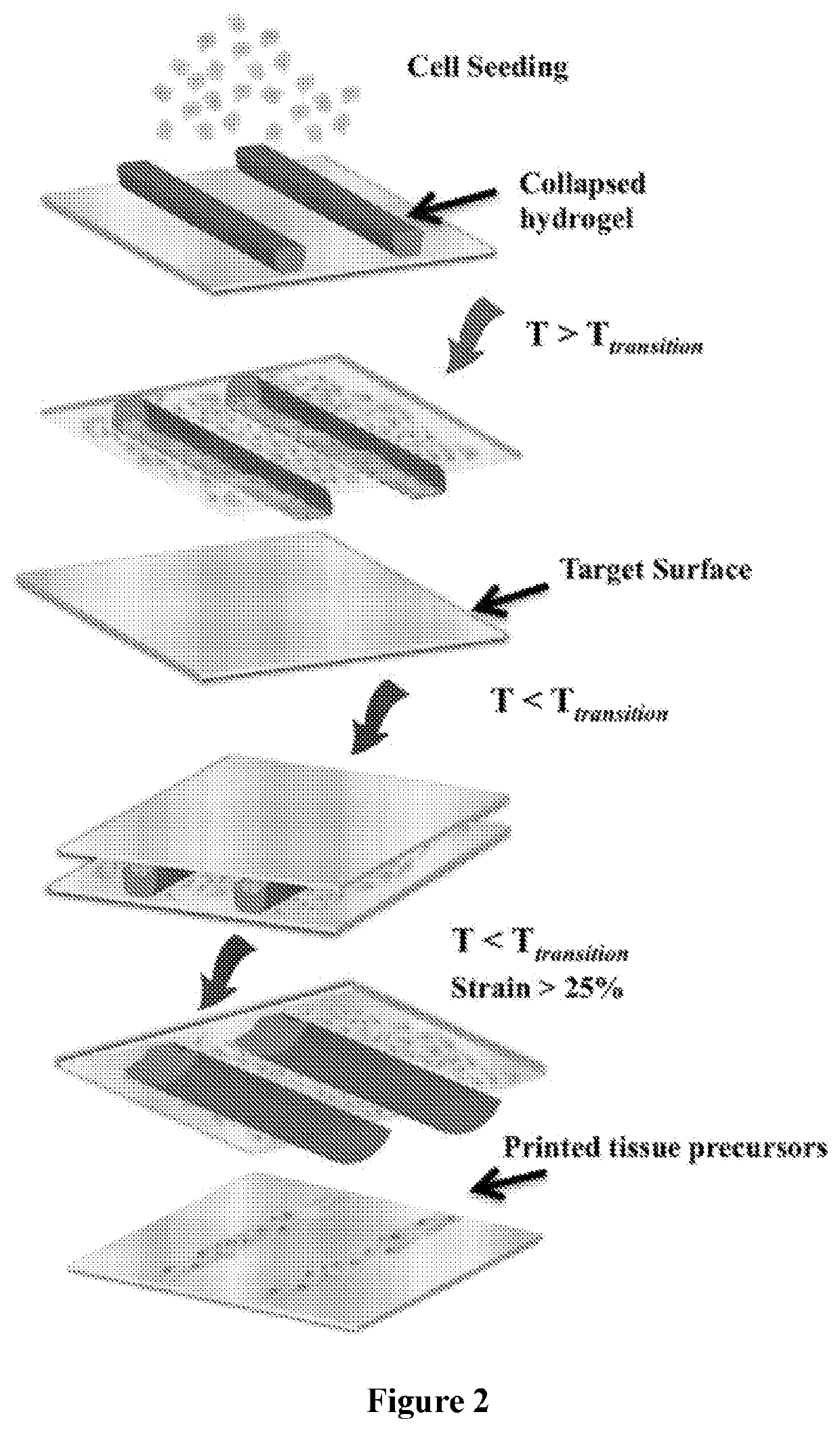 High-Throughput Platform for Bioprinting Tissue Modules