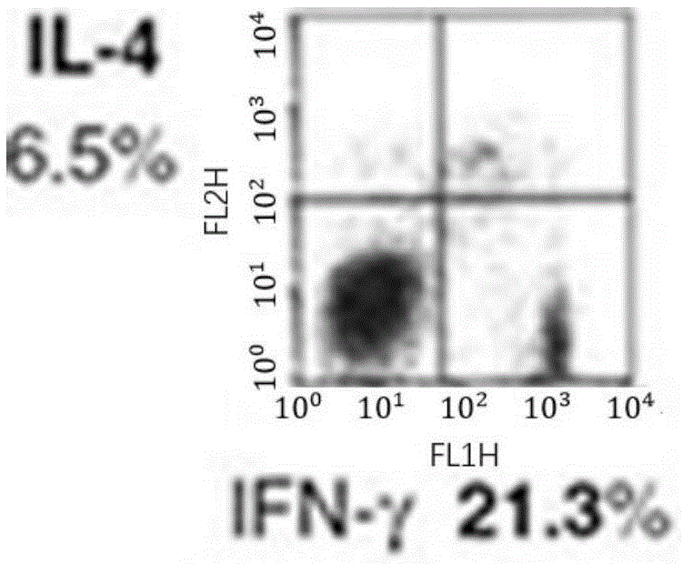 Recombinant adeno-associated virus as well as construction method and application thereof
