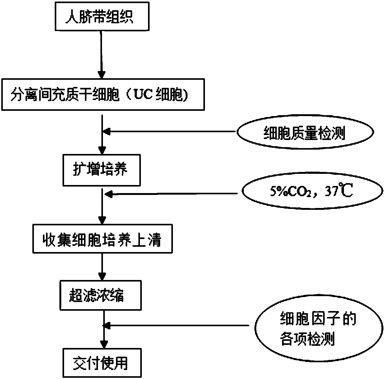 Preparation method and application of human umbilical cord mesenchymal stem cell cytokines