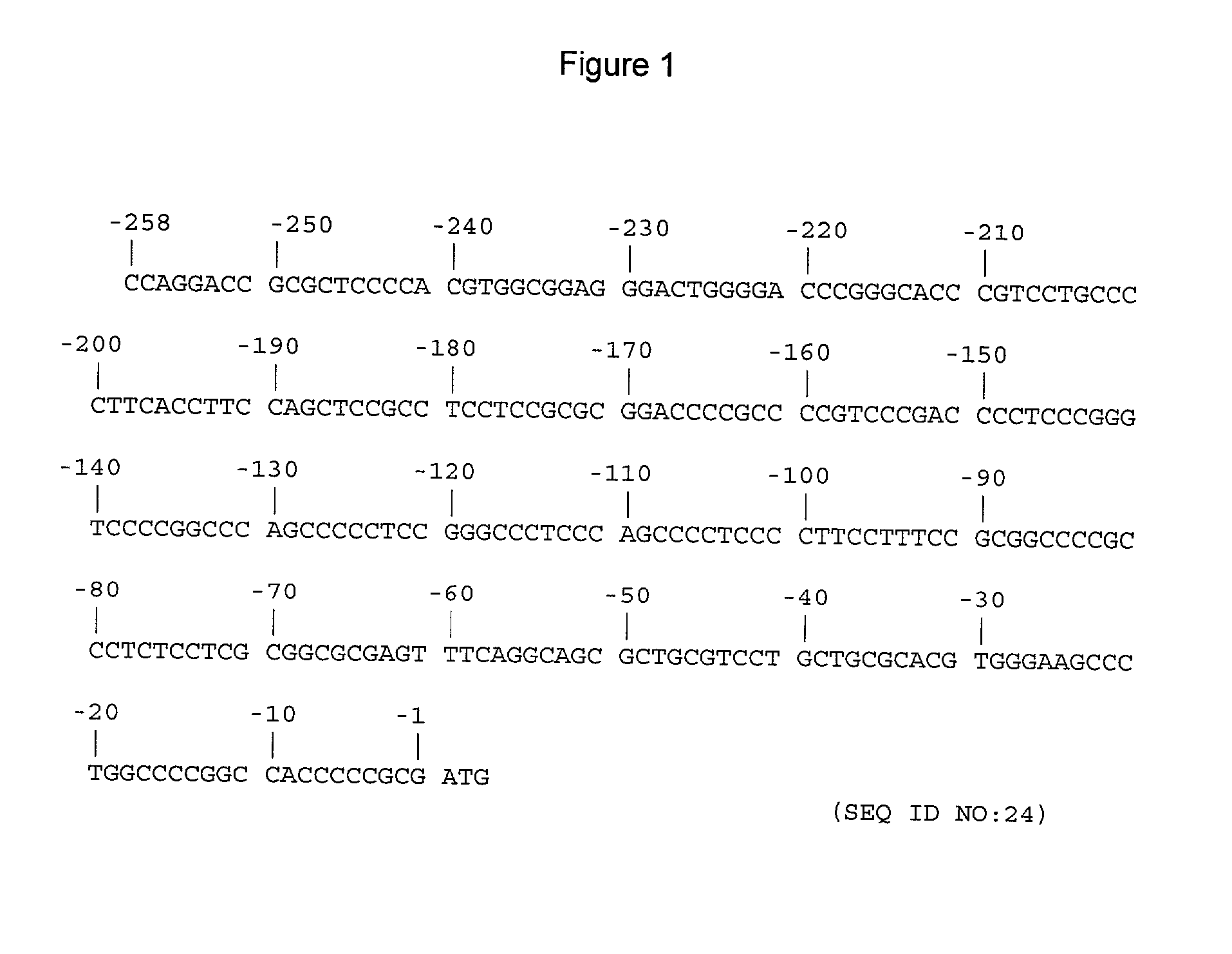 Methods and compositions for modulating telomerase reverse transcriptase (TERT) expression