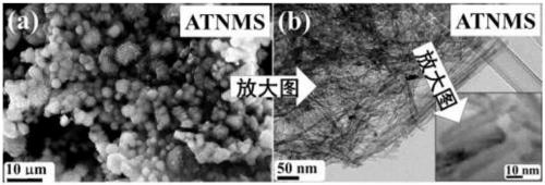 Ultraviolet-visible-near infrared responded PbS/TiO2 nanotube aggregation microsphere heterostructure as well as preparation method and application thereof