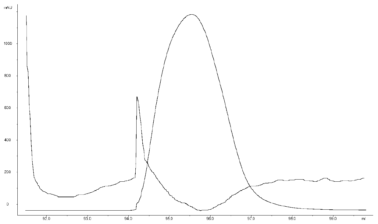 Sorghum 14-3-3 protein GF146 gene, recombinant vector thereof and expression method