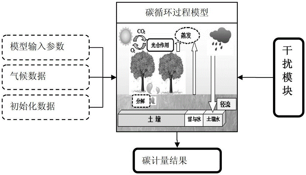 Forestry Carbon Accounting Method Based on Ecological Process Model