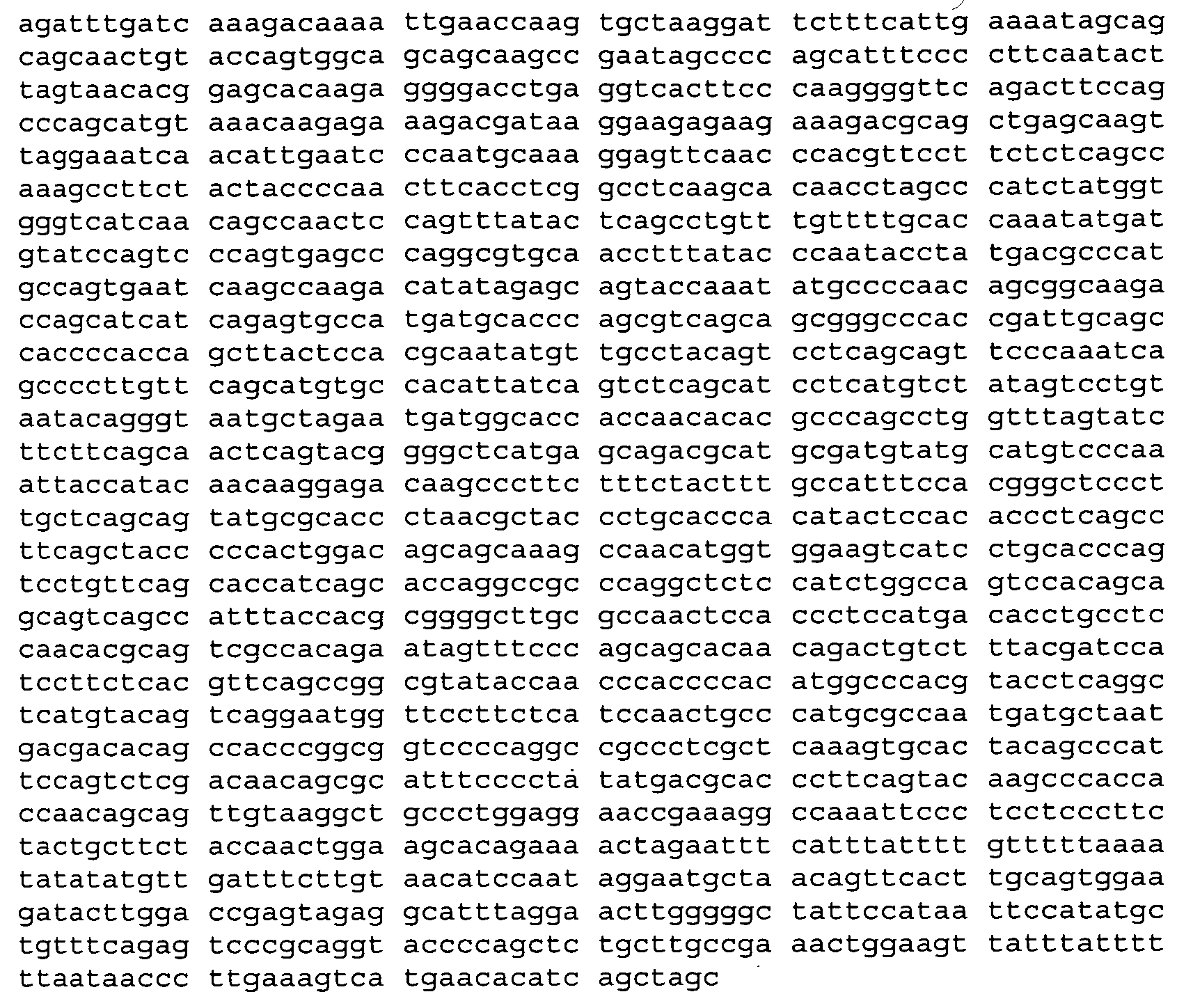 F066 transgenic mice that express pathogenic mutants of the sca2 gene