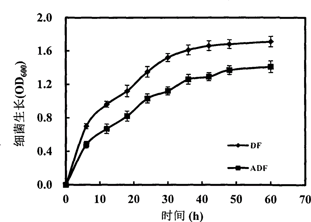 Screening method and application of Raoultella planticola strain SRPG-4 producing ACC (1-aminocyclopropane-1-carboxylic acid) deaminase activity