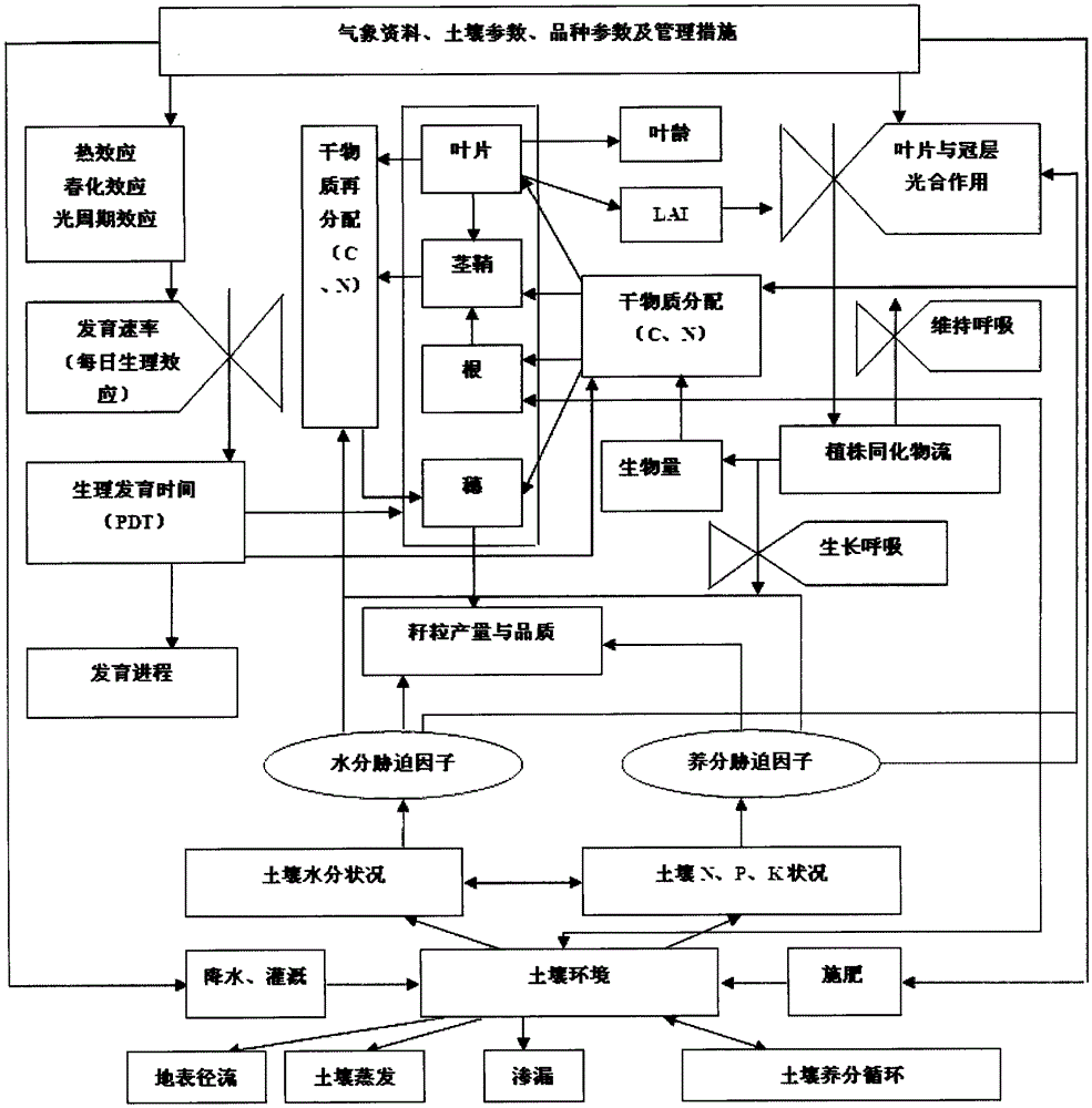 Estimation Method of Characteristic Parameters of Wheat Variety Based on mcmc