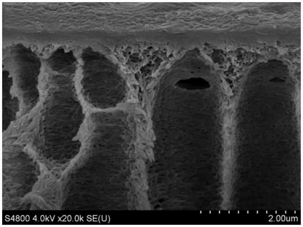 Low-pressure softened composite nanofiltration membrane and preparation method thereof