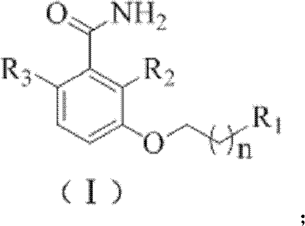 3-methoxybenzamide (MBA) derivant as well as preparation method and application thereof