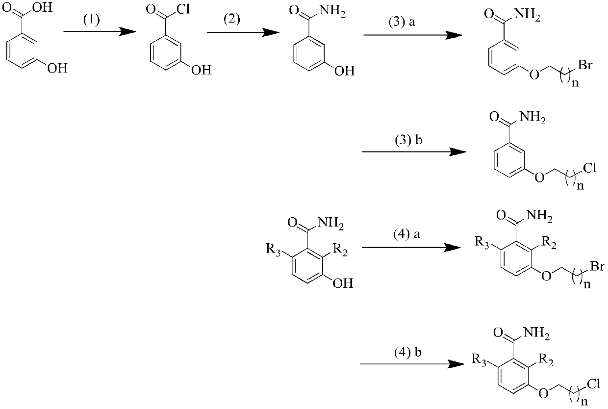 3-methoxybenzamide (MBA) derivant as well as preparation method and application thereof