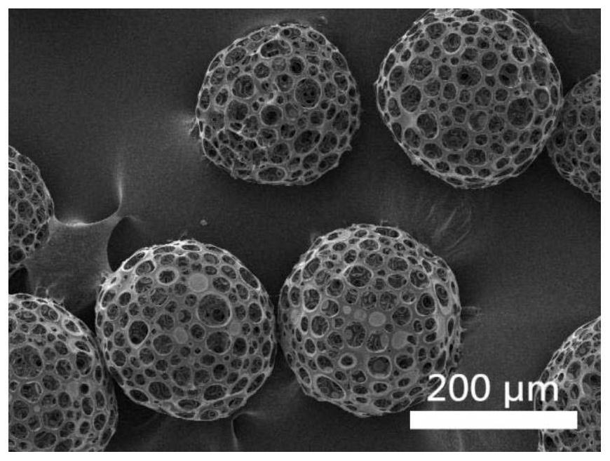 A mechanically enhanced composite tissue engineering scaffold material and its preparation method