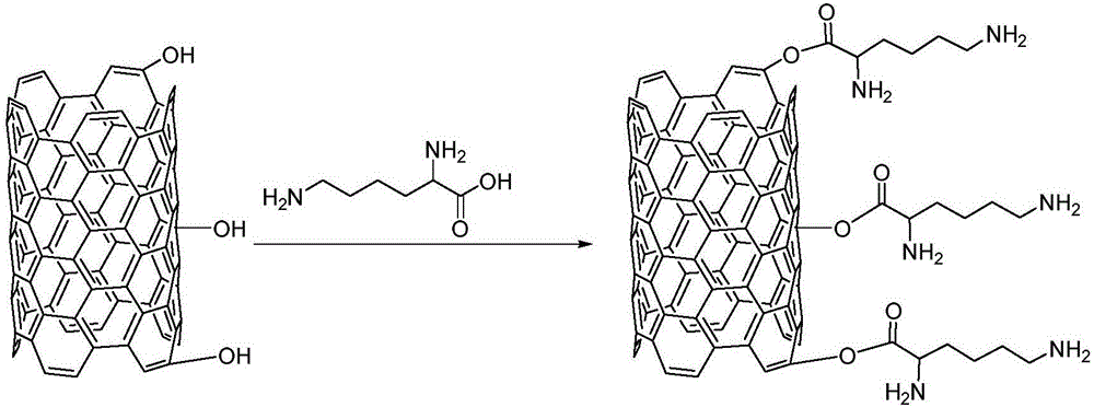 Graphene, CNT (carbon nano tube) and bio-based nylon ternary composite material and preparation method thereof