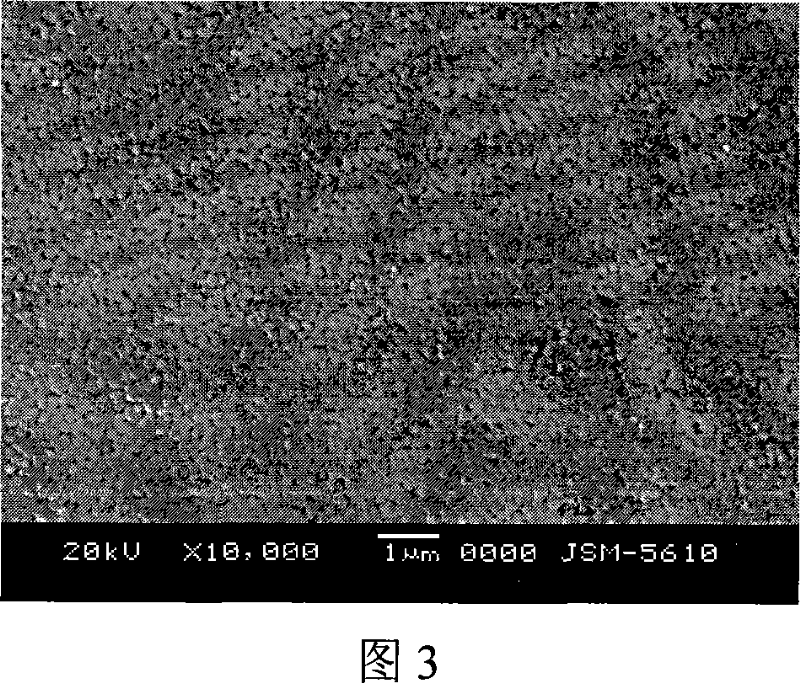 Seepage type Ag-PbTiO3 composite ceramic film and preparation method therefor