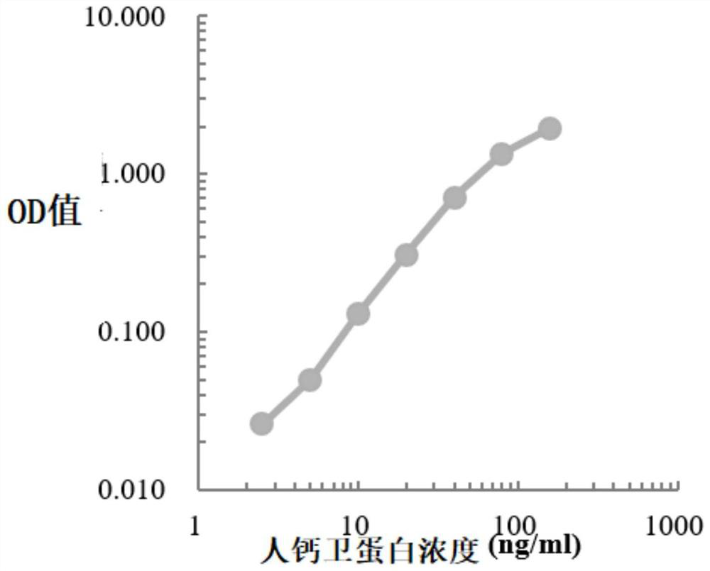 Colorectal cancer excrement protein biomarker as well as kit and application thereof