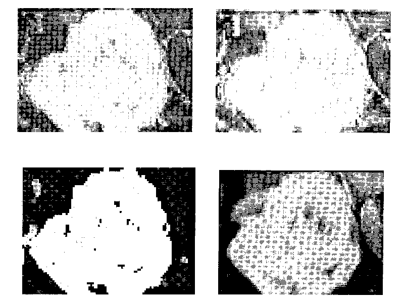 Image retrieval method based on color and shape features