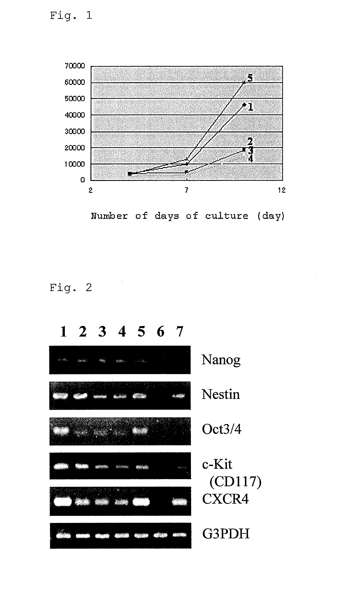 Stem cell for therapeutic use which is derived from human monocyte, and method for inducing same