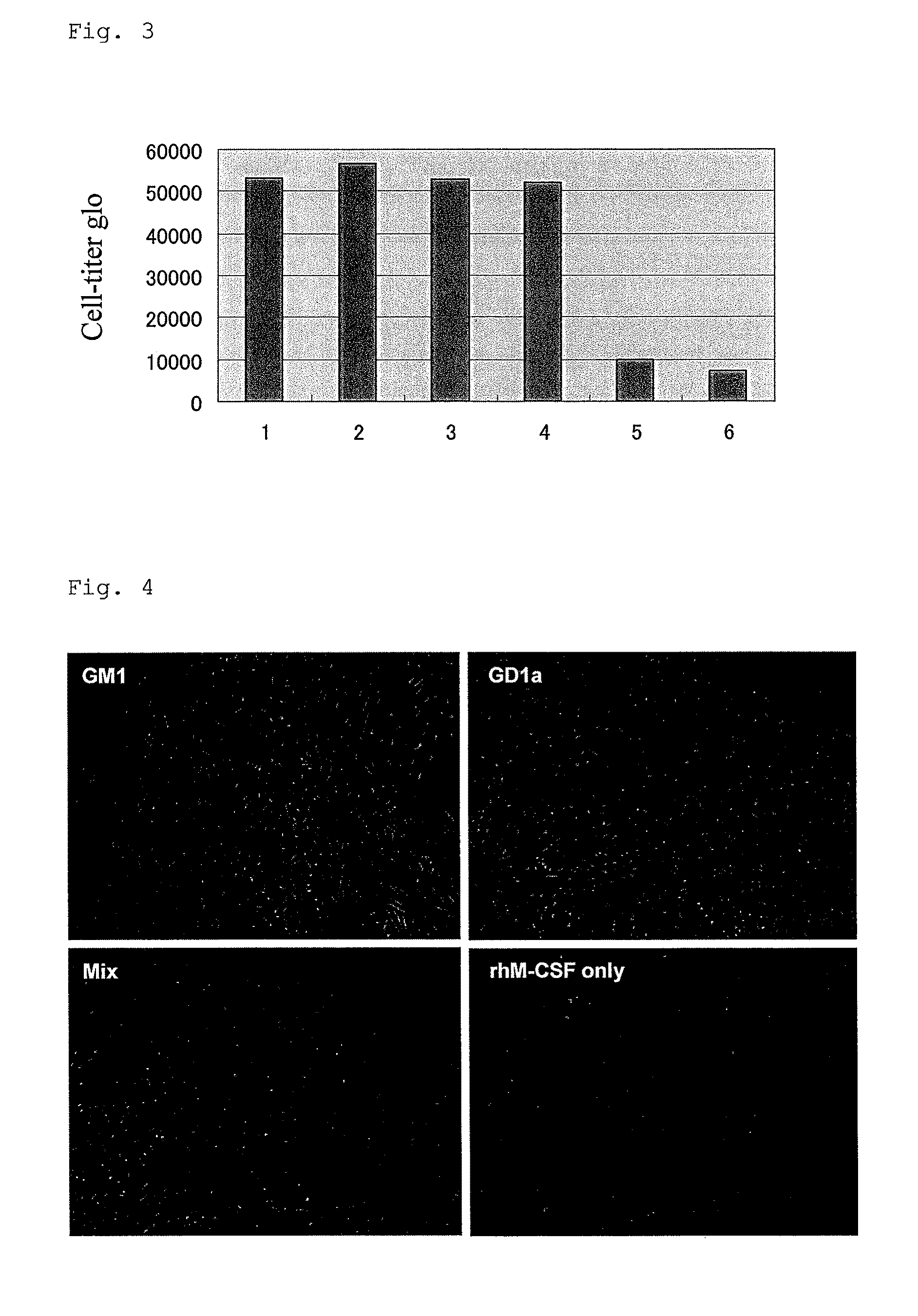 Stem cell for therapeutic use which is derived from human monocyte, and method for inducing same