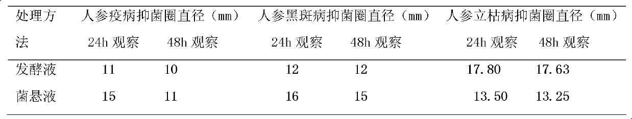 Preparation method of biological agent for preventing and treating ginseng diseases